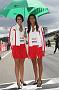 Gridgirls 52